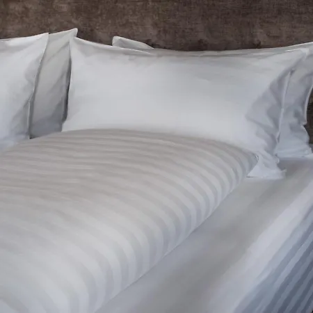 Arthaushotel 酒店 达沃斯