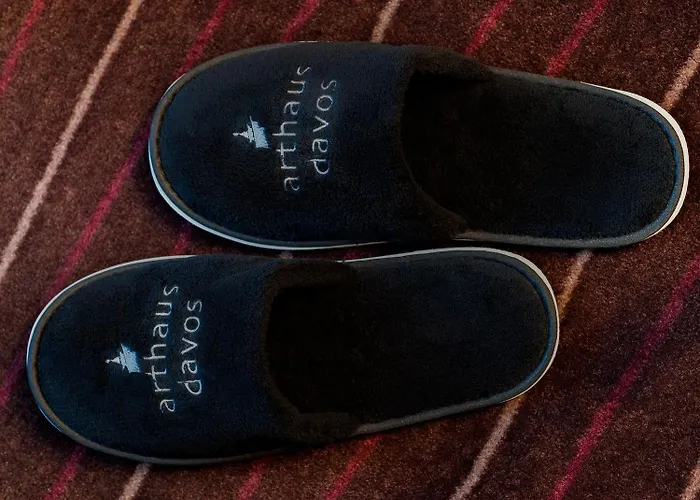 ホテル Arthaushotel 3*