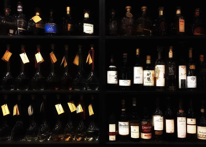 酒店 Arthaushotel 3*