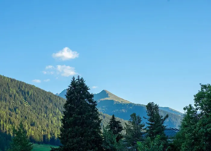 ホテル Arthaushotel