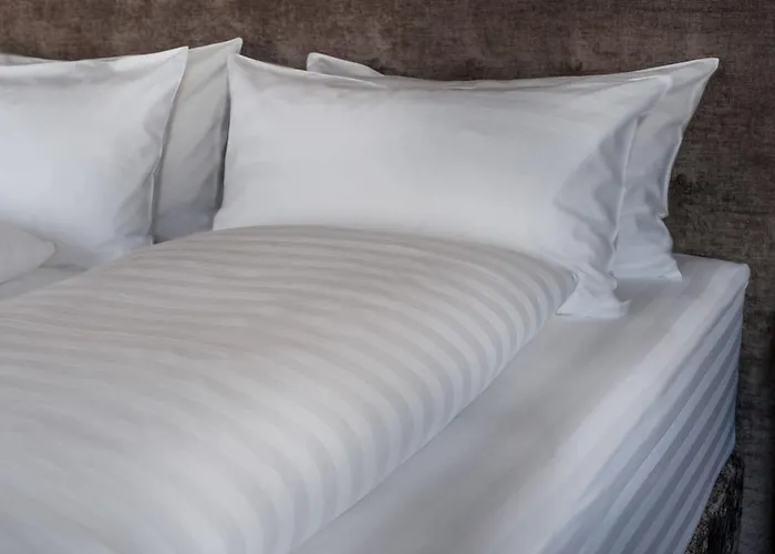 Arthaushotel 酒店 达沃斯